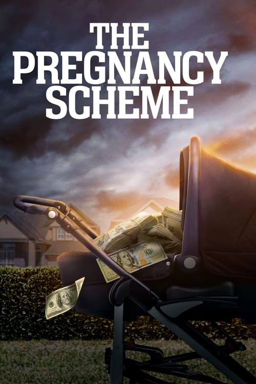 دانلود فیلم The Pregnancy Scheme طرح بارداری